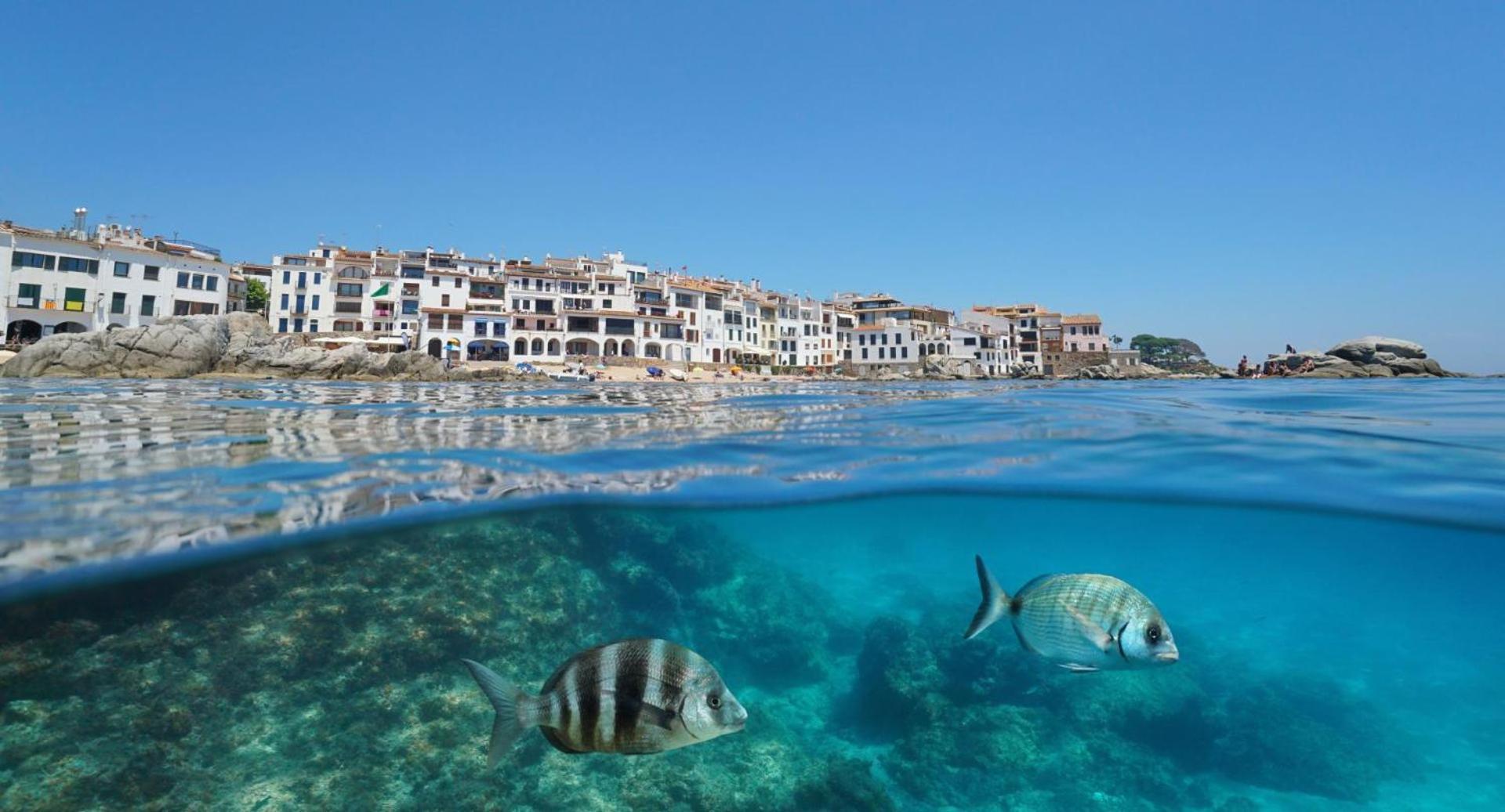 Apartamento Recien Reformado A 300 Metros Del Mar Calella De Palafrugell Εξωτερικό φωτογραφία